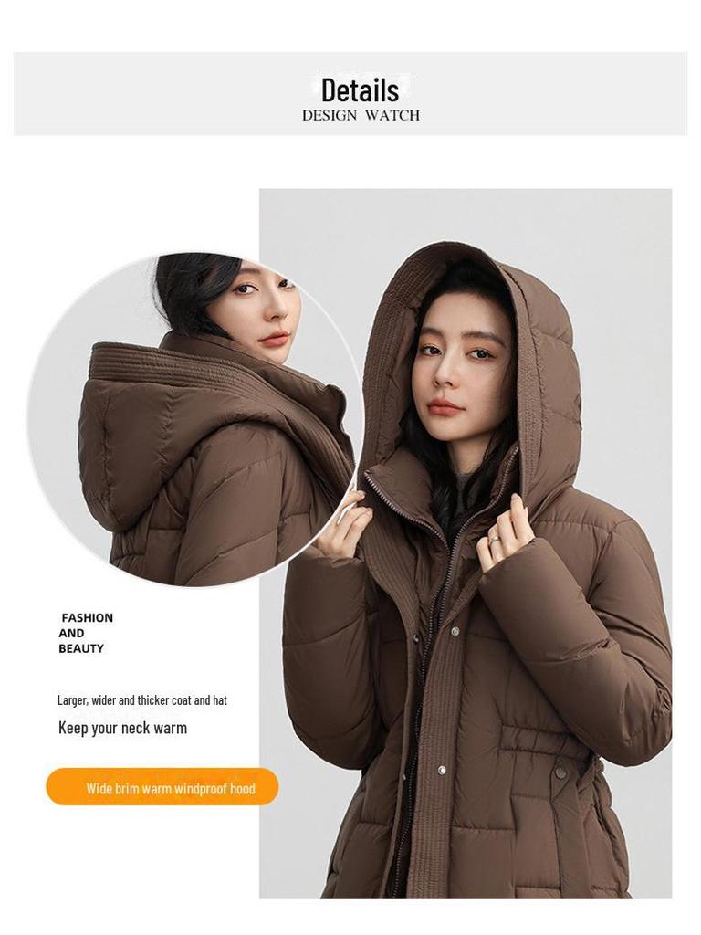Women's Light Luxury Hooded Down Cotton Coat - Winter, Long, Loose, Large Size, Korean Style, Thick