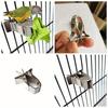 2 Pezzi Porta Cibo per Uccelli Pappagallo Pet Pinza per Frutta Verdura Dispositivo Alimentatore Pinza a Morsetto Durevole Accessorio per Gabbia per Uccelli Domestici.