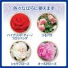 Sumitomo Chemical Gardening Fertilizer Myrose Rose Fertilizer 1.2kg Granular Roses Roses Base Fertilizer Topdress Fertilizer Thank You Fertilizer