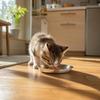 Stainless Steel Cat Bowl 14cm Shallow Plate Whisker Fatigue Relief Flat Easy Clean Kitten Puppy Food Feeding Dishes Pet Supplies