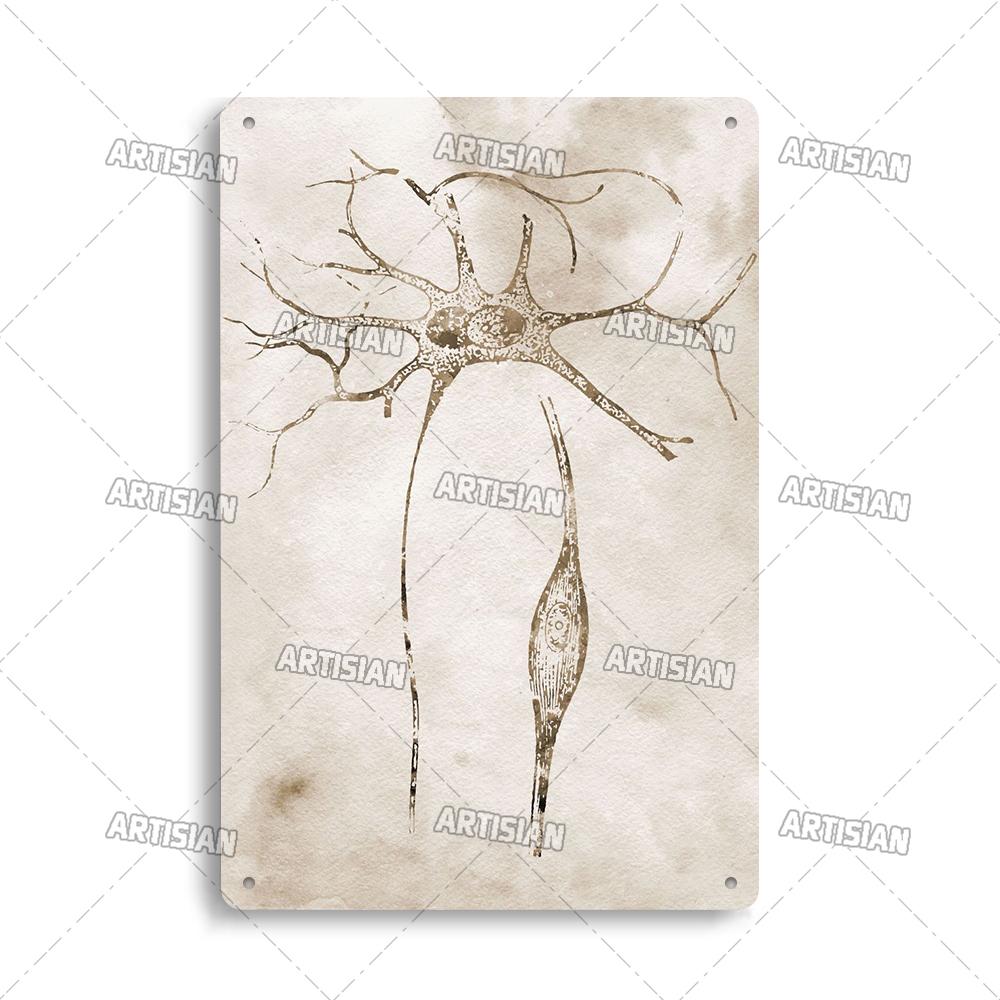 Placca Metallica Artigianale Clinica Dentista Cartello in Latta Anatomia Piatto Decorativo Medico Ospedale Chirurgia Dente Organo Ossa Nervo Cervello