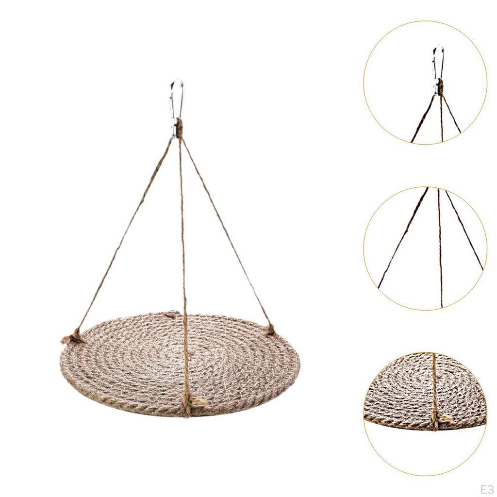 for Bearded Dragon Sleeping Area in Terrarium
