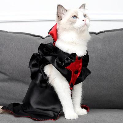 Kostiumy dla kotów, Nietoperze wampiry na Halloween, Zabawne rekwizyty, Ubrania i kostiumy dla zwierząt