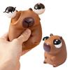 Capybara Squeeze Toy Popping Eye Anxiety Stress Relief Sitting Adult Reliever Pinch Sensory Soft Ball Animal Fidget