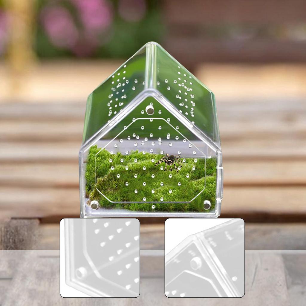 Jumping Spiders Enclosure Acrylic Ventilation Tarantula Feeding Box Small Animal Breeding Case for Mantis Scorpion