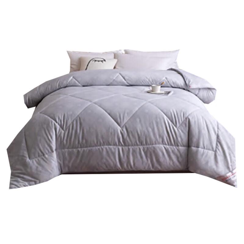 

AIQIWU Skin-Friendly All-Season Quilt