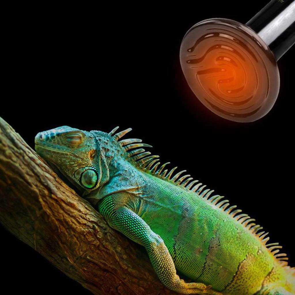 Ceramic Heating Lamp Lizerd Tortise Crawling Pet Bulb 25w-200w