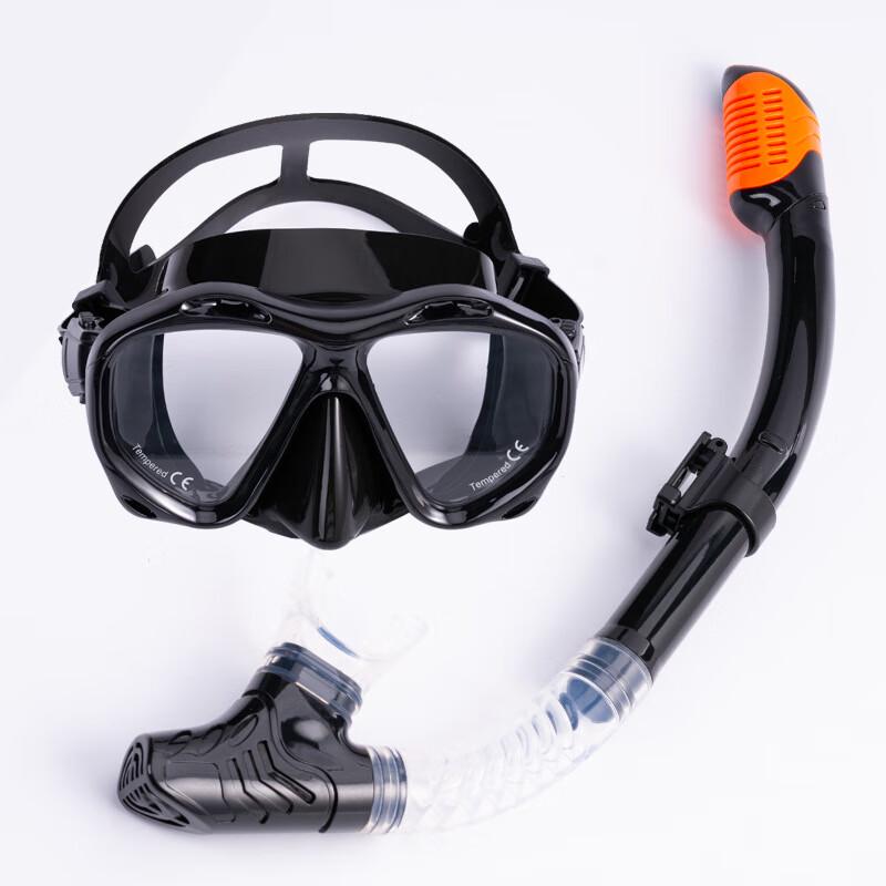 WEZHO Snorkeling Mask and Full Dry Snorkel Set
