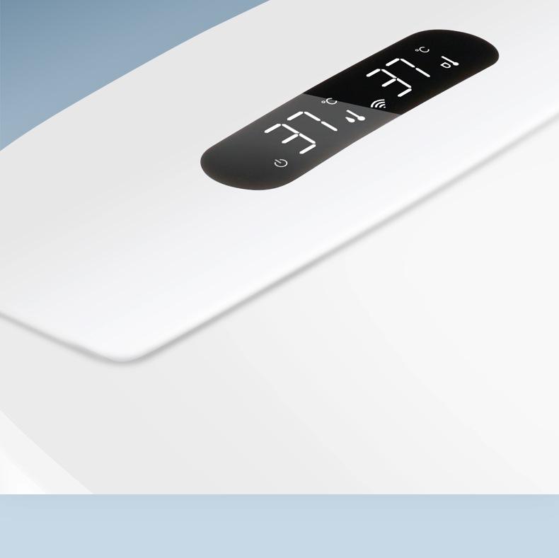 110V Smart Toilet Seat with Drying & Cleaning for Home Use