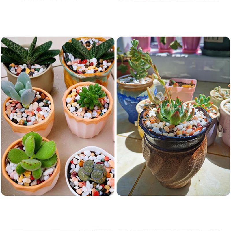 200/400/600/800g Natural Rainflower Stone Bottom Sand Of Fish Tank Aquarium Scenery Small Stone Decorative Colored Stones TMZ