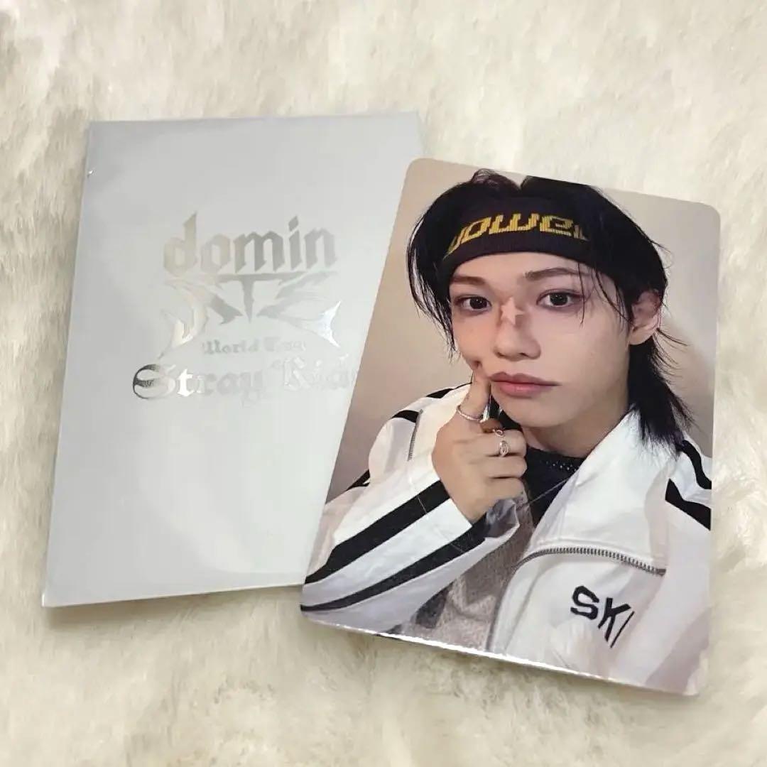 

[USED] Stray Kids Felix Ecopa Trading Card 10,000 Yen Purchase Bonus