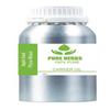 Apple Seed 100% Pyrus Malus Pure & Natural Carrier Oil