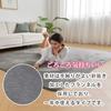 Aicomri Carpet Rug, 1.5 Tatami Mat Size, 130x185cm, 15mm Thick, Washable, Non-Slip, Flannel, Anti-Mite, Antibacterial, Water-Repellent, Compatible Wit