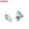 Blue Zinc Plated Phillips Pan Head Machine Screw (PM2.5*2, M3*4, M4*6, M4*8, M4*22, M4*25, M5*8, M8)