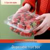 HUIHUADU Disposable PET Transparent Fruit Packaging Box with Lid