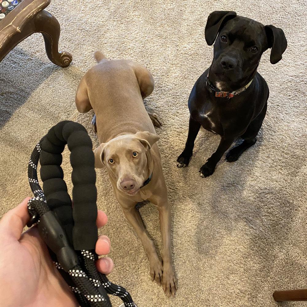 3/5m Rope Dog Leash with Soft Padded Handle Highly Reflective Heavy Duty Dog Rope Leash for Small Medium Large Dog Accessories