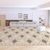 Contemporary Velvet Loop Rug - Water, Stain, and Dust Resistant for Living Room, Coffee Table, Bedroom, or Study