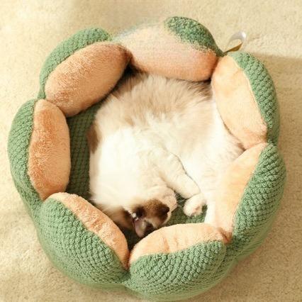 Kaktus Katzenbett Geschlossenes Warmes Haustierhaus für Alle Jahreszeiten Winter Sommer Hundebett