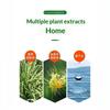 Citronella Mosquito Repellent Gel Plant Based Non Toxic Safe For Pregnant Women And Baby Indoor Home Bedroom Living Room Use