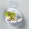Multifunctional Wall-mounted  Vase Flower Pot Home Wall Decoration Ornaments