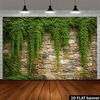 2D Country Garden Stone Wall Climbing Green Ivy Studio Portrait Backdrop