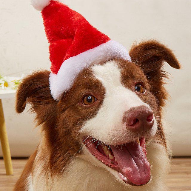 Red Plush Christmas Hat for Pets - Festive Ornament for Dogs & Cats