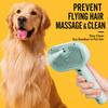 Spray Function Hair Straightener Comb Electric Pet Massage Comb New Steam Brush  Pet Grooming