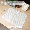 KOKUYO Clear Book Carryall Fixed Type Back Pocket A3 20 Pockets Transparent RA-5833T