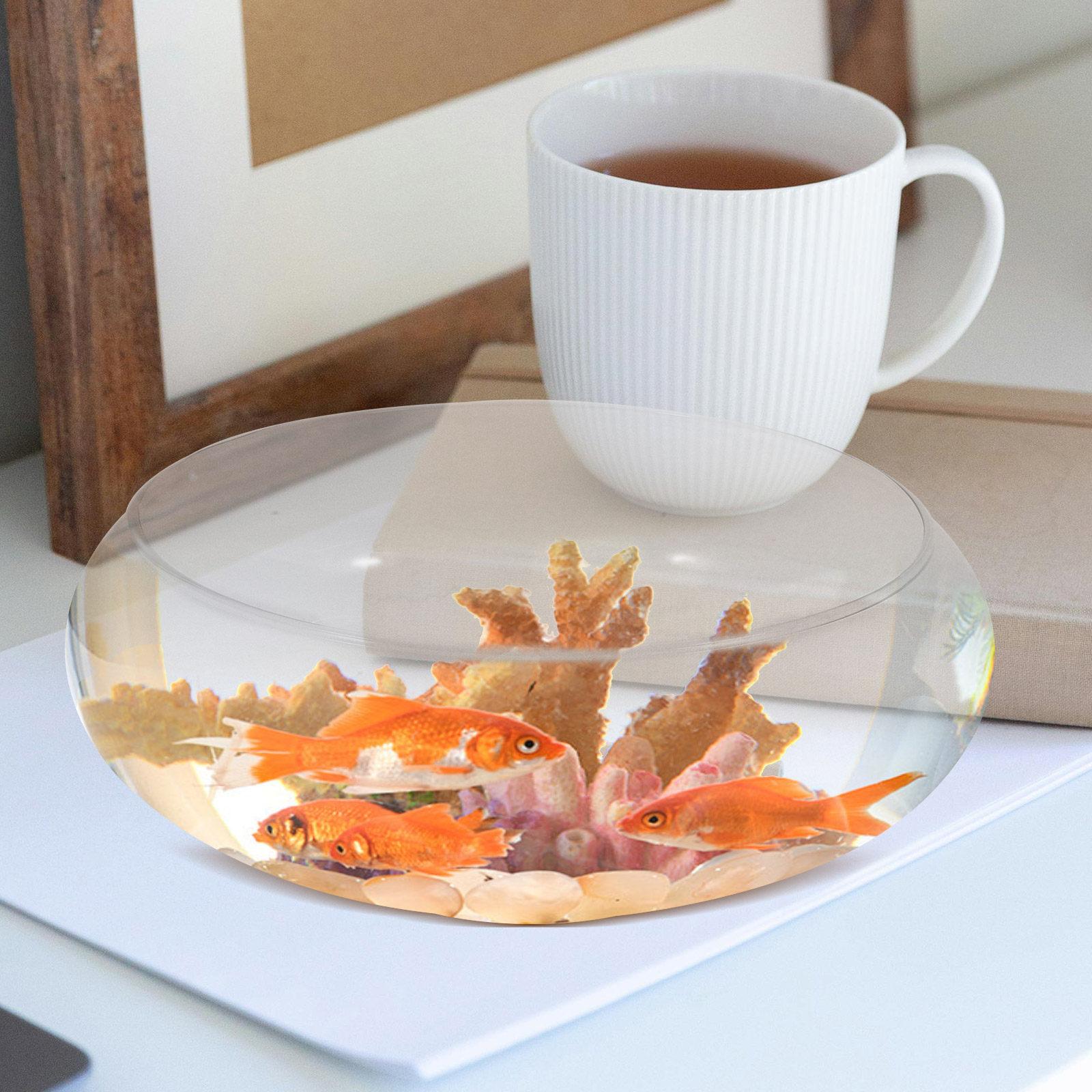 

Clear Glass Fish Bowl Desktop Round Aquarium Tank Hydroponic Planter Flowerpot Micro Landscape Vase for Home Office Garden 15X15X6CM
