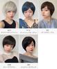 AQUADOLL Short Full Wig, High Tone, Ash, Blonde, Greige, Brown, Free Size, JBK. Japanese Black (wg346JBK)