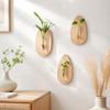 Home Ornaments Wall Decoration Wooden Hydroponic Planter Shelf Flower Pot Hydroponics