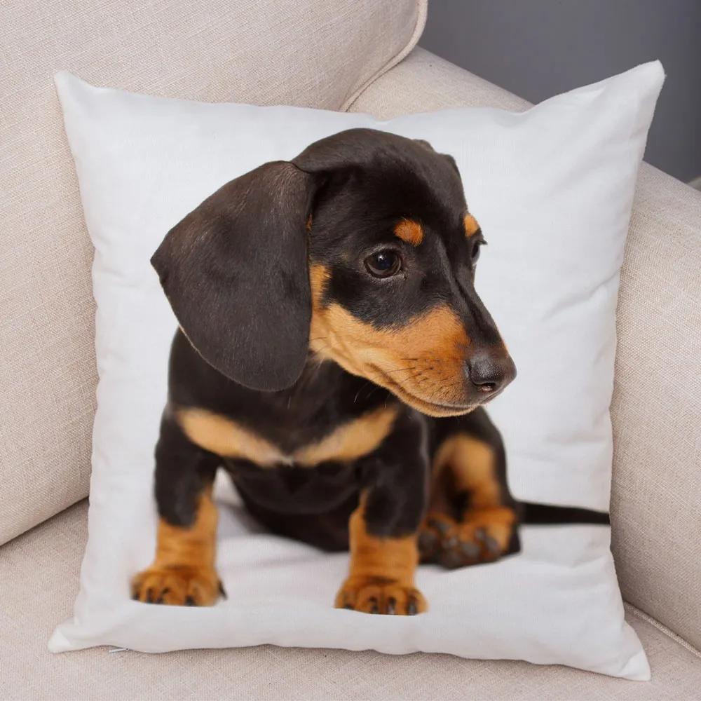 Mini Dackel Hund Kissenbezug Dekor Haustier Tier Kissenbezüge Superweicher Plüsch Kissenbezug für Sofa Zuhause Kinderzimmer 45x45cm