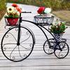 European-Style Multi-Layer Indoor Bicycle Flower Rack for Plants and Indoor Use