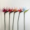 Bird of Paradise Silk Flower - Premium Home Decor, Showroom Display, Photography Prop