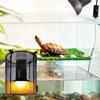 Metal Mesh Heating Bulb Lamp Enclosure Iron Mesh Cover Reptiles Heat Lamp Guard  Amphibians