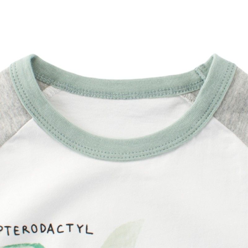 27Kids Summer Children's Clothing Boys' Short-Sleeved T-Shirts Kidsren's Dinosaur Tops Boys' Pure Cotton Raglan Sleeve Clothes