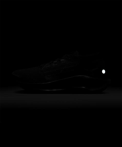 Nike Pegasus Trail 5 GORE-TEX M [FQ0908-002]