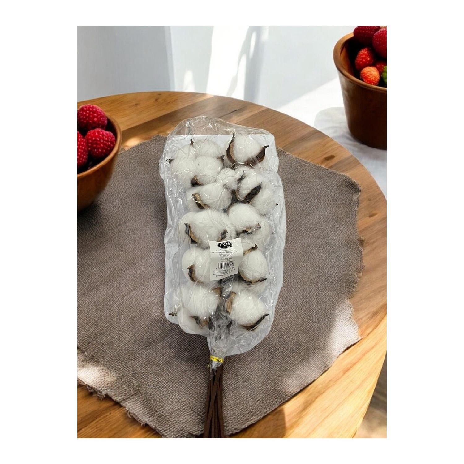 

White Natural Cotton Branches (10 Branches) белый