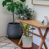 1Pcs Thickened Movable Vase Rack with Smooth Universal Wheels for Heavy Large Flower Pots Plant Pot Tray Round Floor Planter