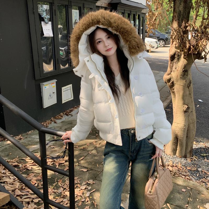 New Winter Hooded Cotton Jacket and Cotton Jacket To Make You Look Slim Korean Style Simple Large Fur Collar Short Jacket for Women
