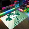 Ireland Rugby Design Crystal Velvet Carpet Cozy Non?Slip Printed Rug For Bedroom Living Room Entrance