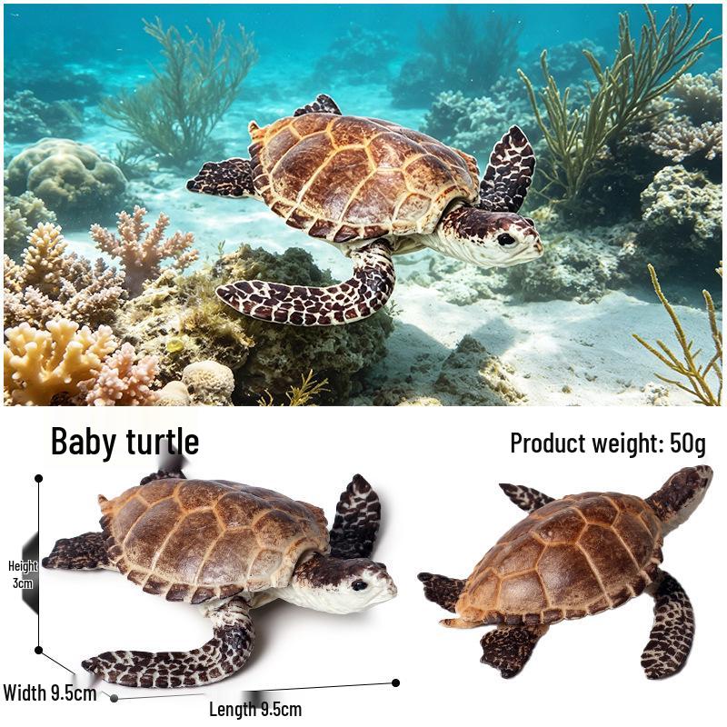 Children's Cognitive Marine Animal Models: Sea Turtle and Tortoise Toys