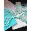 French floral embroidered underwear women's big breasts show small sexy transparent steel ring upper support anti-sagging bra cover