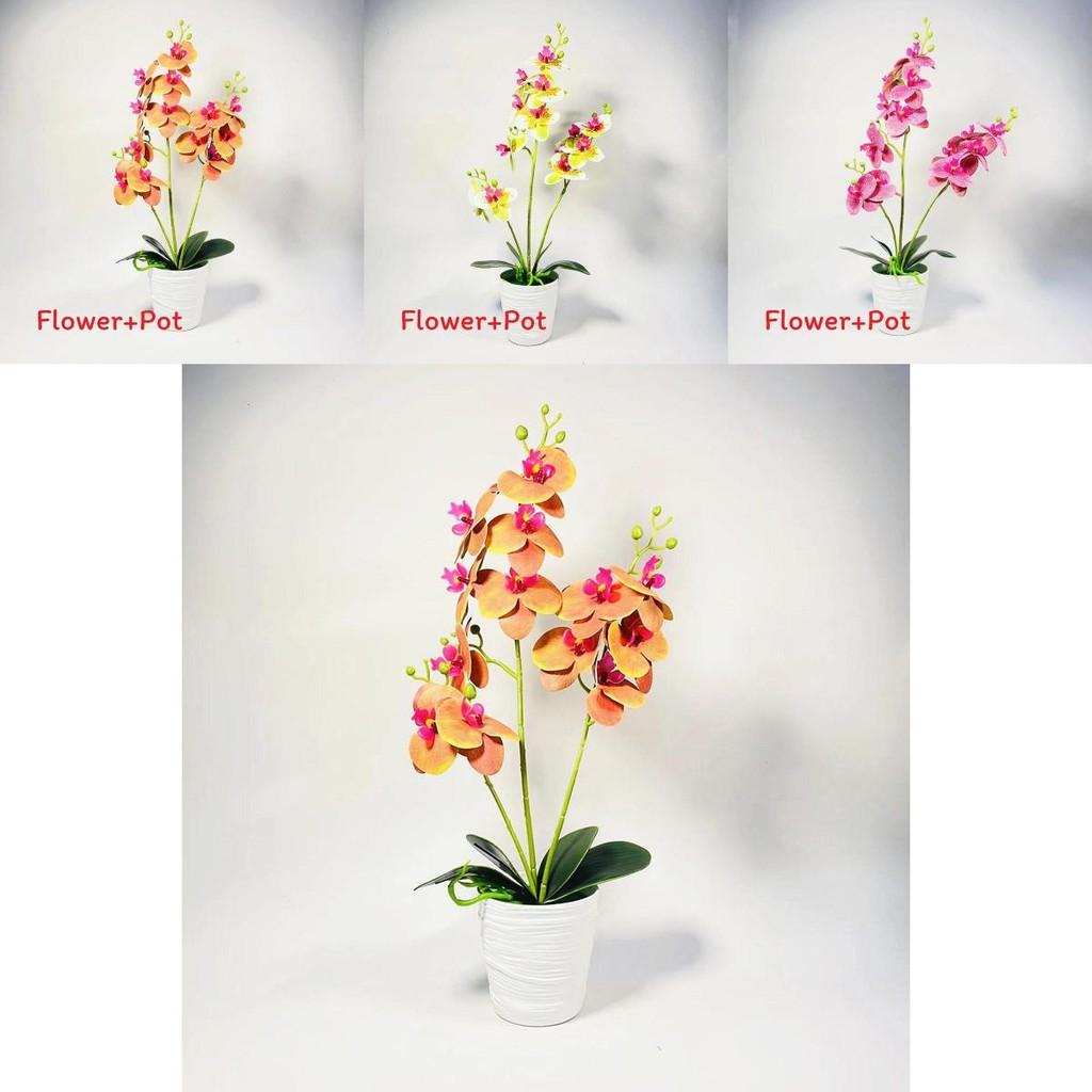 Phalaenopsis Artificial Plant With Pvc Material For Home Decor And Gift Presentations
