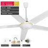 Diamond Brand Ceiling Fan For Home Living Room Iron Leaf Dormitory Industrial Hanging Electric Fan Dining Room Sound Light Strong Wind 4856-Inch