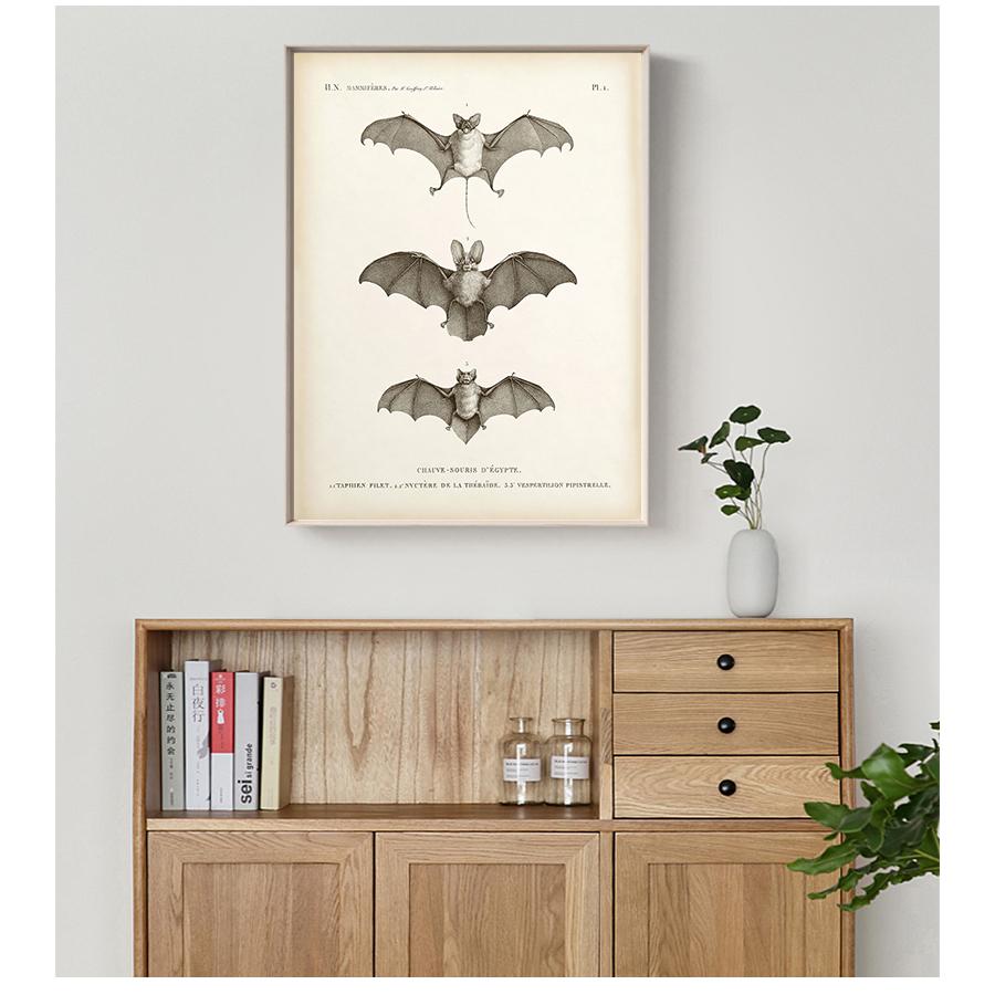 

Искусство Холст Живопись Античная летучая мышь Животное Плакат Стена Картина для гостиной Домашнее украшение Винтаж летучая мышь Печать Хэллоуин Стена