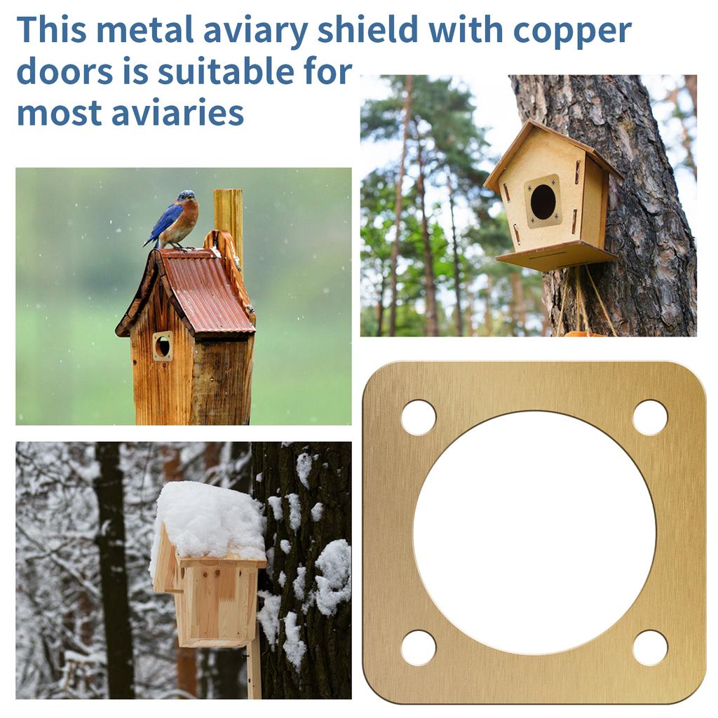 10 Stück Vogelnestschutzhülle 1/2 Zoll Öffnung Rostfrei Kupfer Blaumeisenhaus Raubtierschutz mit Schraube für Außen, Häuser