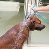 Haustier-Badesprühdüse Schlauch Hundeduschkopf Hand-Silikon-Massagebürste Katzen Hunde Reinigungswaschzubehör
