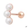 Smykker og accessoires – Piercing