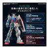 RG Mobile Suit Gundam RX-78-2 Gundam Ver.2.0 1/144 Scale Color-coded Plastic Model